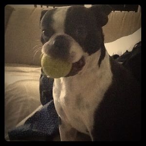 Tips on presentations...anyone.